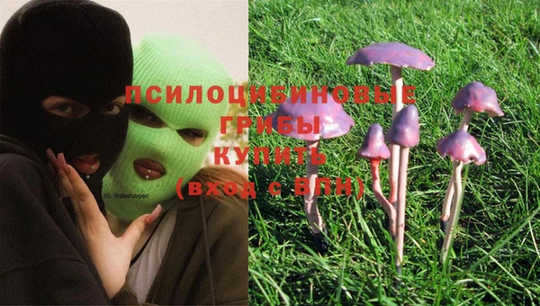spice Абдулино